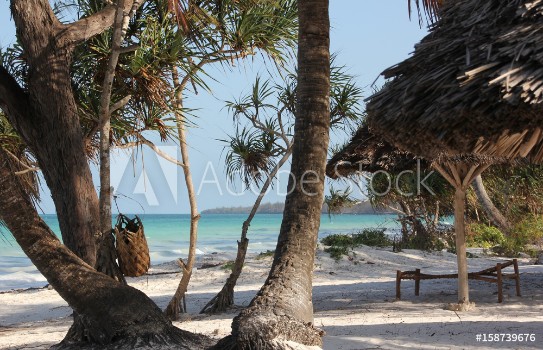 Bild på Sunlounger  Kiwengwa Beach Zanzibar Island Tanzania Indian Ocean Africa 